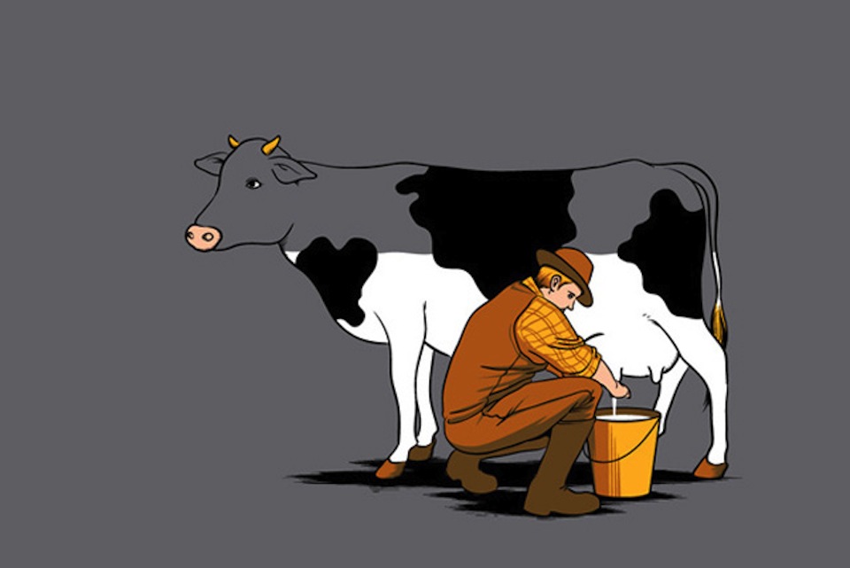 Chocolate Milk Comes from Brown Cows